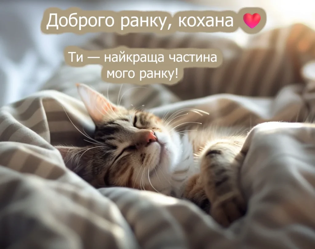 доброго ранку кохана романтична листівка з милим котиком